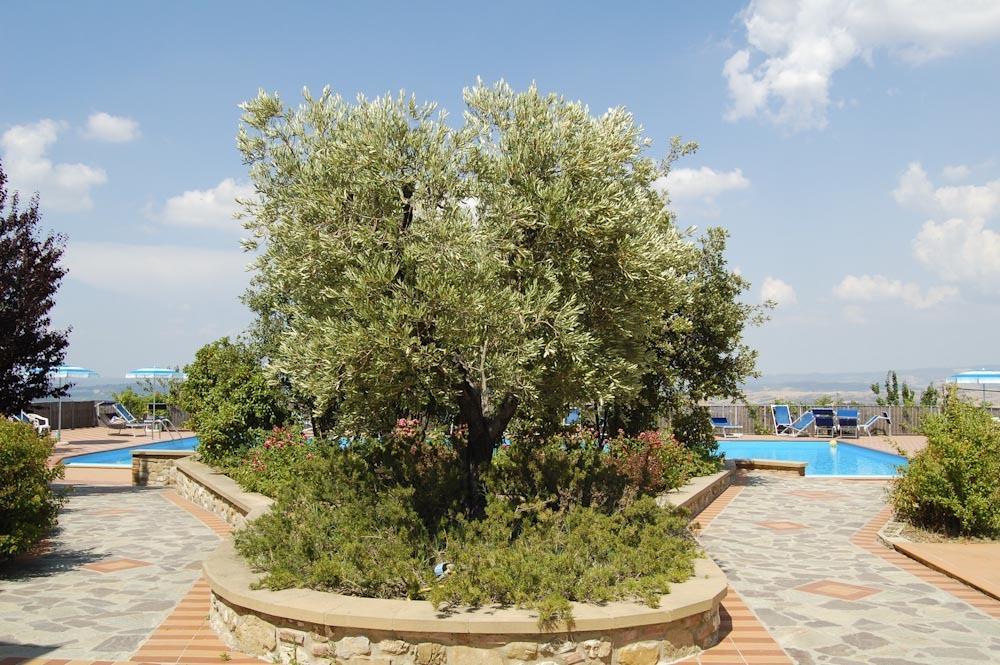 Apartment Il Casino Numero 5 Лаятико Экстерьер фото